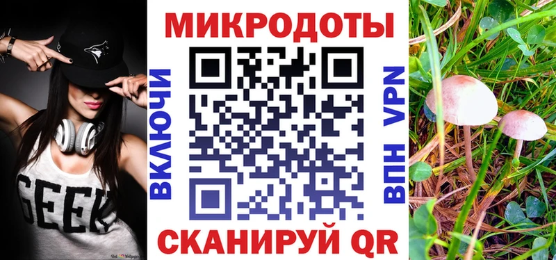 Купить закладки  Нестеров  Псилоцибиновые грибы прущие грибы 